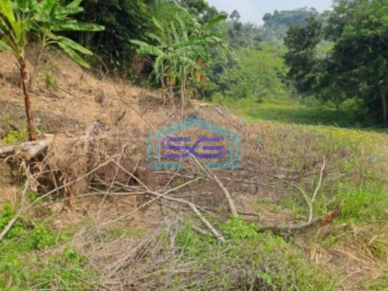 Dijual Tanah di Daerah Cibodas Rumpin Bogor Barat Luas Tanah 40000m2