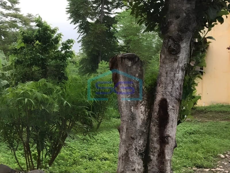 Dijual Tanah Siap Pakai di Salatiga Jawa Timur Luas Tanah 5941 m²