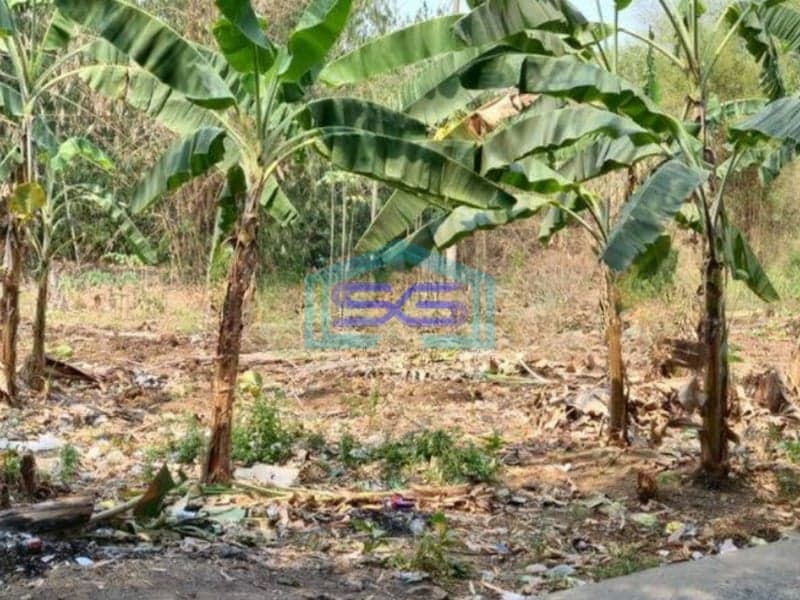 Dijual Tanah Cocok Untuk Gudang Di Cibogo Cisauk Tangerang