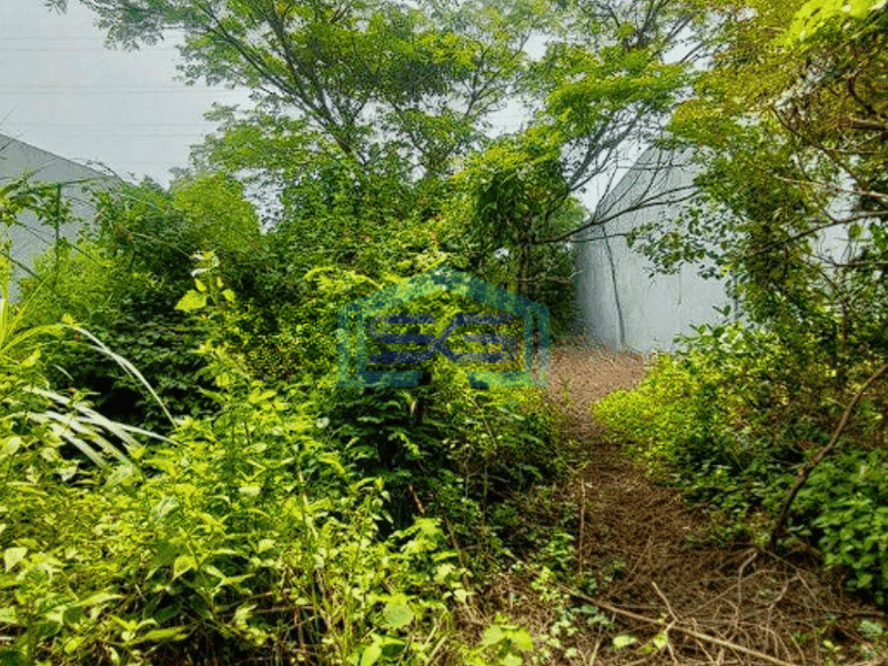 Dijual Tanah Kavling Dalam Kawasan Industri Lokasi di Cikarang Strategis
