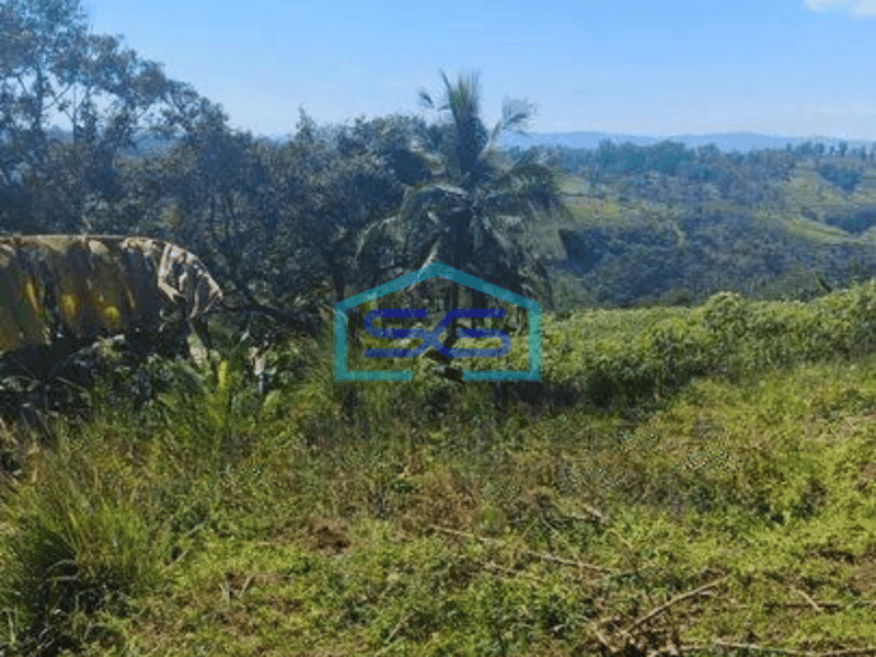 Dijual Tanah Untuk Gudang di Ginanjar Sukabumi
