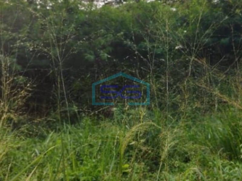 Dijual Tanah Lokasi Dekat Jalan Utama Gunung Sindur Bogor Jawa Barat