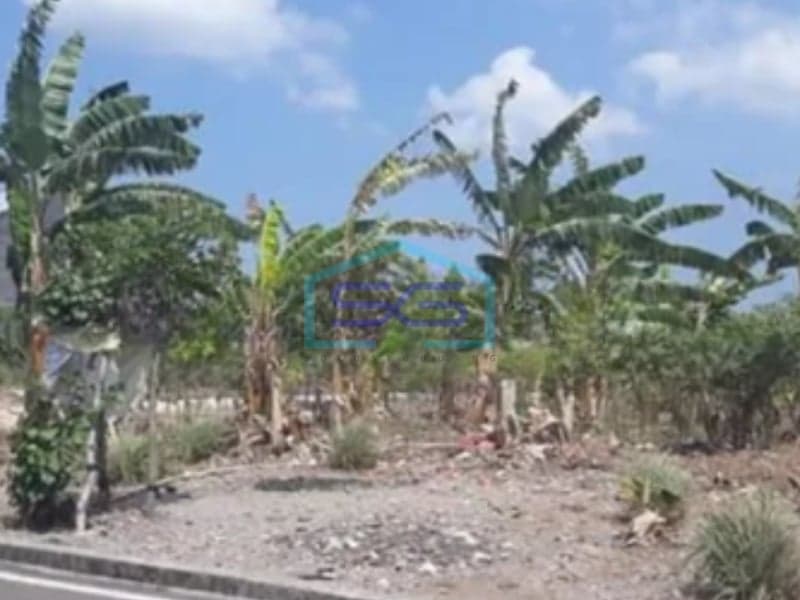 Strategic Good Spot Land for Sale in Canggu Badung Bali Land Area 5600sqm