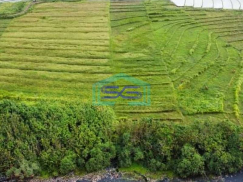 Dijual Tanah Los Pantai Beach front Pantai Kelanting Tabanan Bali Luas Tanah  7900 m²