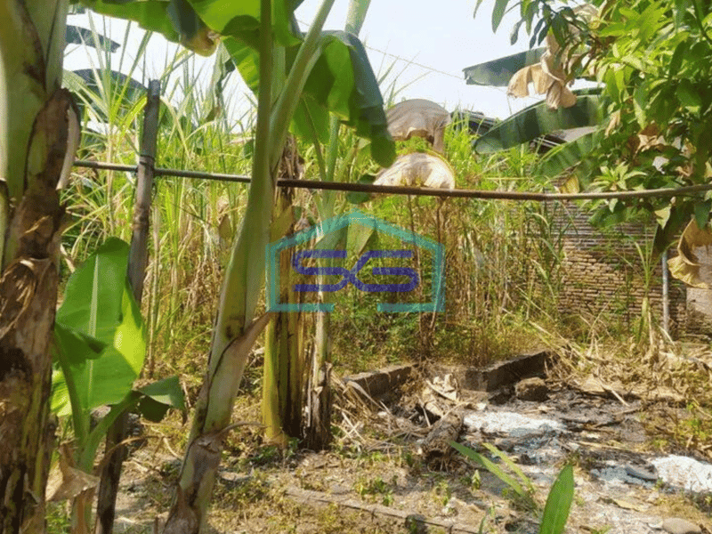 Dijual Cepat Tanah Kosong cocok untuk Gudang di Lubang Buaya Setu Kabupaten Bekasi