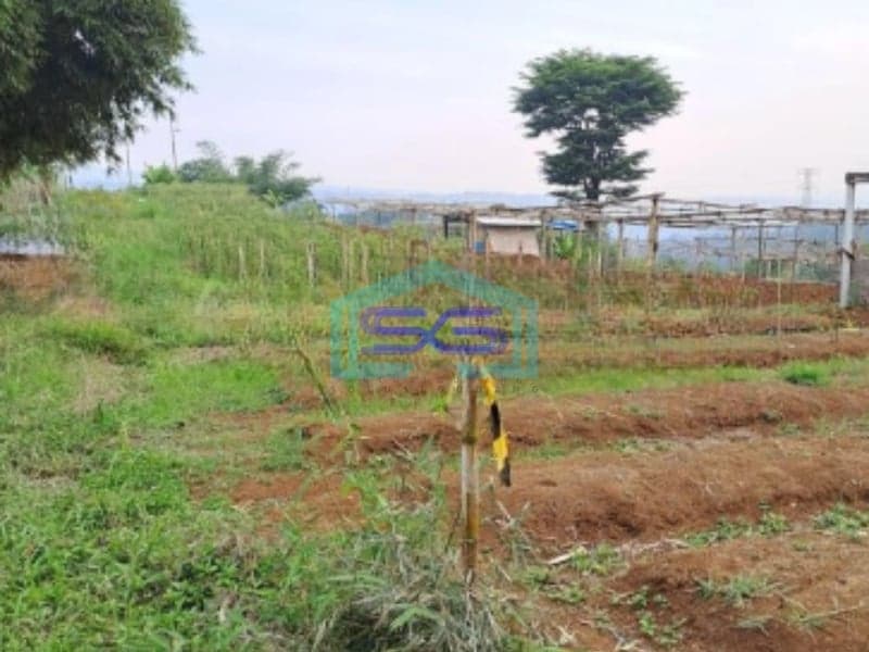 Dijual Tanah di Desa Gunung Gelis Sukaraja Bogor Luas Tanah 25000m2