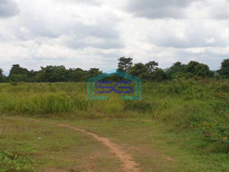 Dijual Tanah di Kutruk Panongan Tangerang Luas 1,7 Hektar