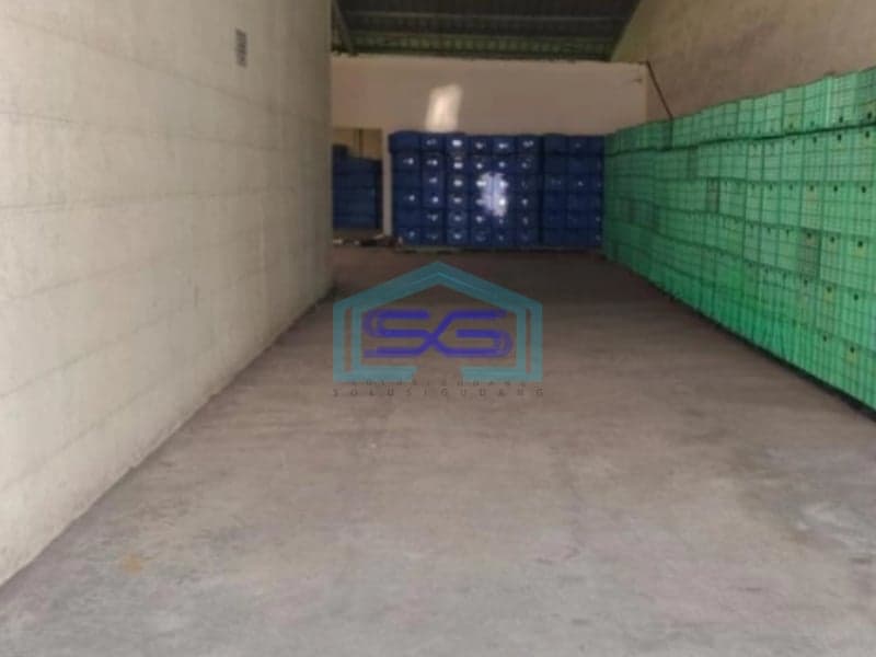 Disewakan Gudang Lokasi Strategis Di Cikande Serang Banten LB 1400m2