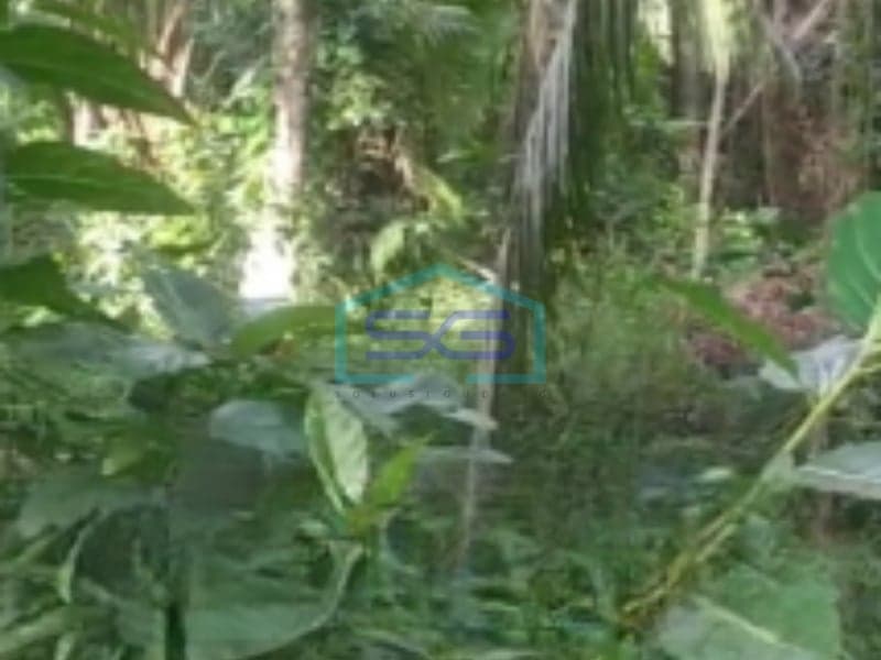 Disewakan Tanah di Ubud Gianyar Bali Luas Tanah 7400m2