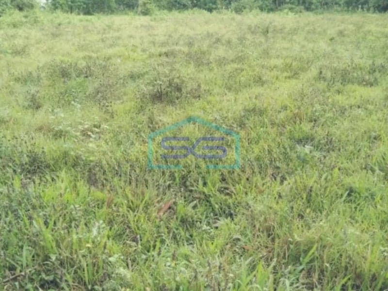Dijual Tanah Murah di Panongan Cikupa, Tangerang Luas Tanah 4.500 m2