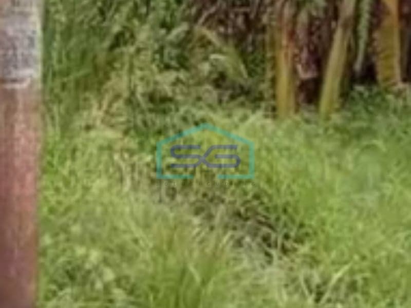 Dijual Tanah Luas 5256 m² Lokasi di Genuk Semarang Jawa Tengah