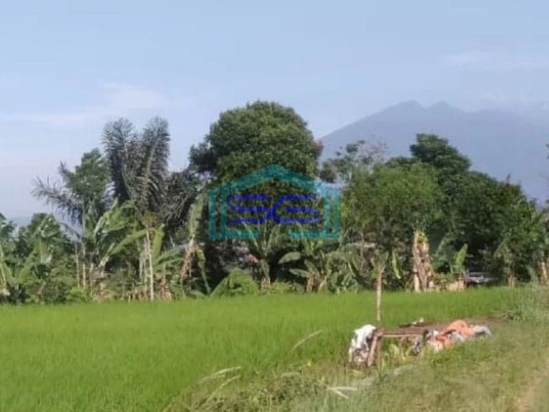 Dijual Tanah di Desa Banjarwangi Ciawi Bogor Jawa Barat Lokasi Tanah Bagus Datar LT 17000m2
