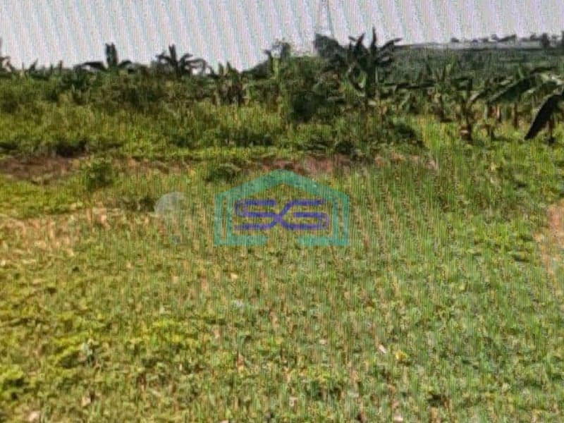 Dijual Tanah Di Citeureup Bogor Dekat Tol Jagorawi LT 89421m2