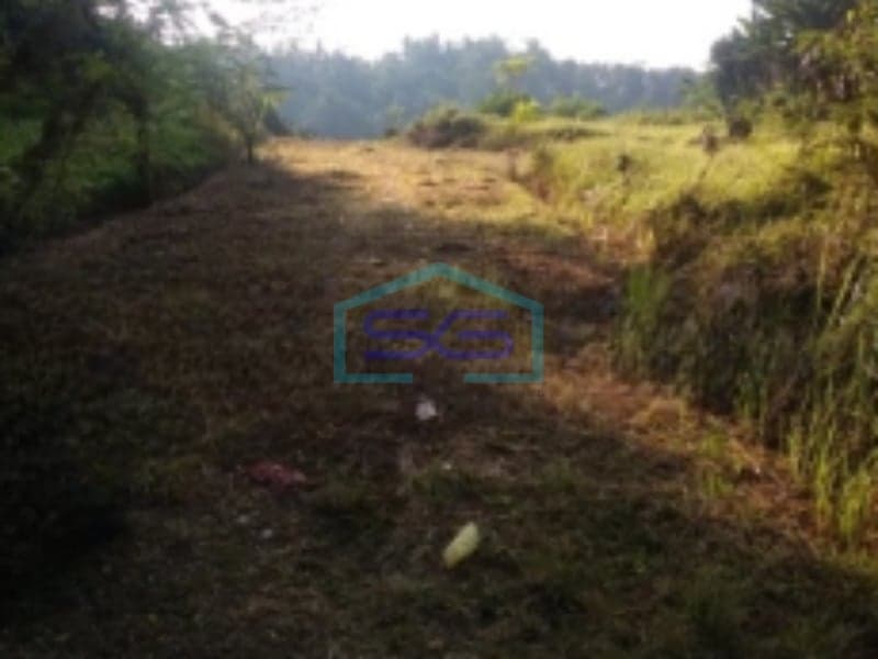 Cheapest Land for Sale in Batuaji Tabanan Ideal for Investment Land Area 6600m2