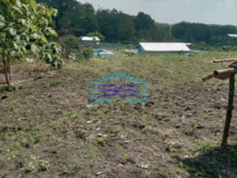 Dijual Lahan Tanah Dalam Zona Industri Strategis Tangen Sragen Jawa Tengah Luas 41 Ha