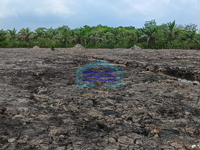 Dijual Lahan Tanah Luas Eks Kebun Sawit di Pangkalan Benteng Banyuasin Sumatera Selatan LT 16000m2