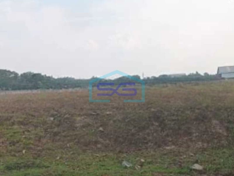 Dijual Tanah Lokasi Bebas Banjir di Daerah Cikande Serang