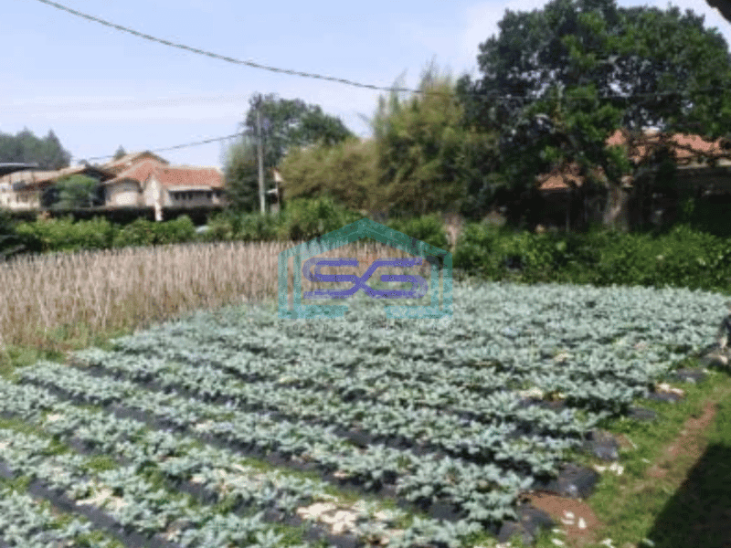 Dijual Tanah Di Lembang Sersan Bajuri Kavling Dekat Villa Lagenta