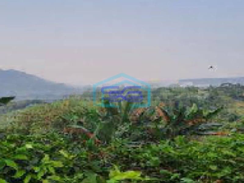 Dijual Tanah di Desa Pabuaran Perbatasan Citeureup Sukamakmur Bogor LT 50000m2