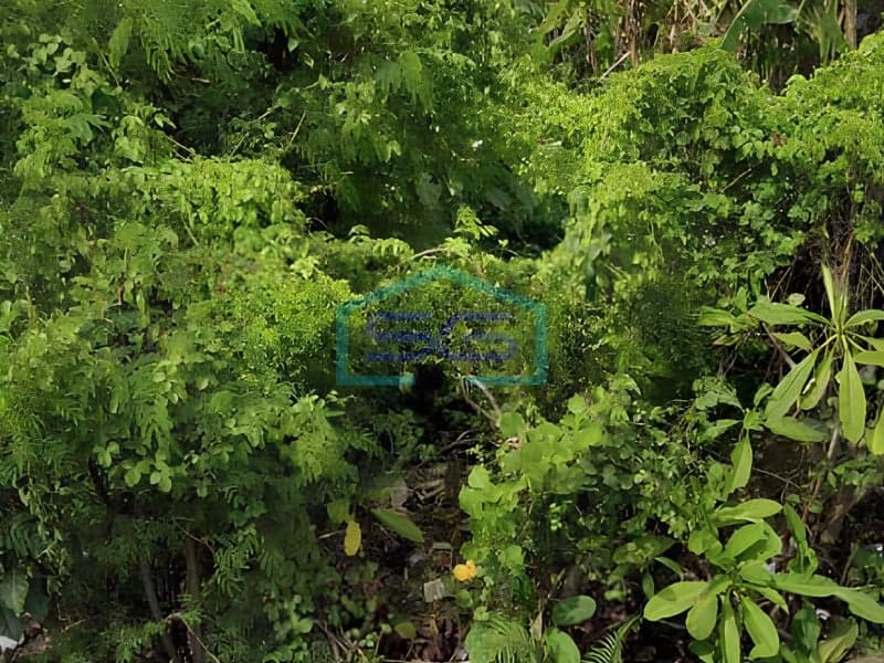 Dijual Tanah di Denpasar Barat Bali Luas Tanah 741 m²