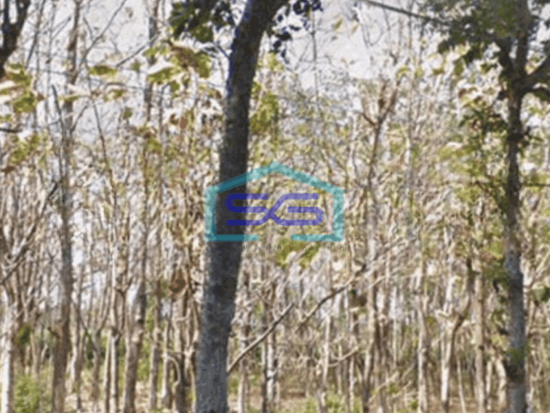 Dijual Tanah di Nganjuk Jawa Timur