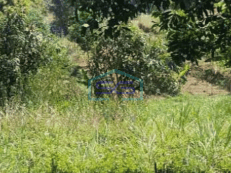 Dijual Tanah Kawasan Cileunyi Bandung Luas 2045m²