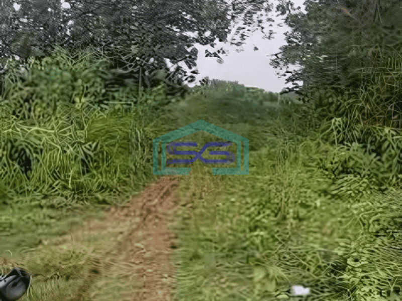 Dijual Tanah Strategis di Ciangir Legok Tangerang Banten LT 14 Ha