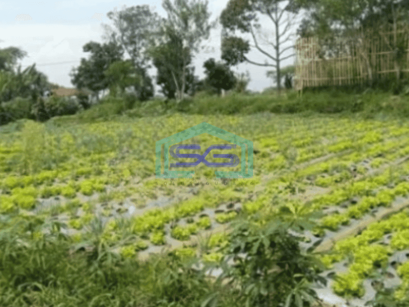 Dijual Tanah Strategis di Parongpong Bandung Luas 3470m²