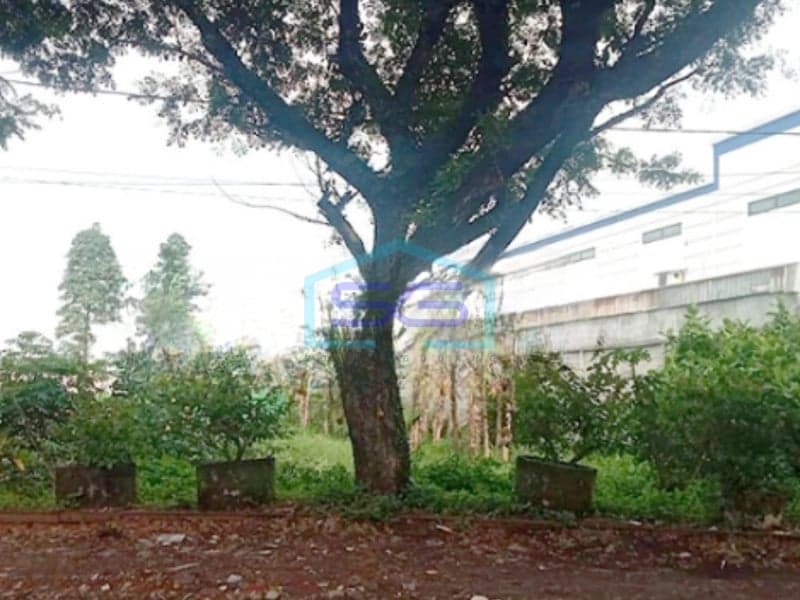 Dijual Tanah Lokasi Strategis di Jalan Raya Pakis Malang, Jawa Timur LT 2690 m²