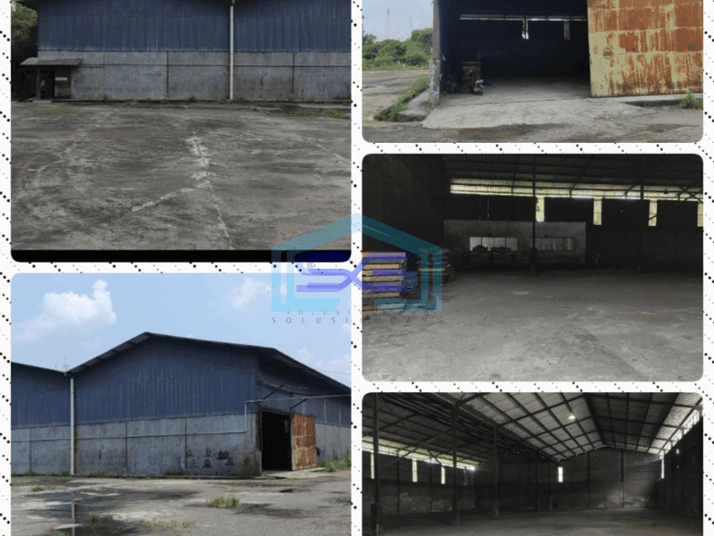 Disewakan Gudang Di Parung Panjang Luas Bangunan 1500m2