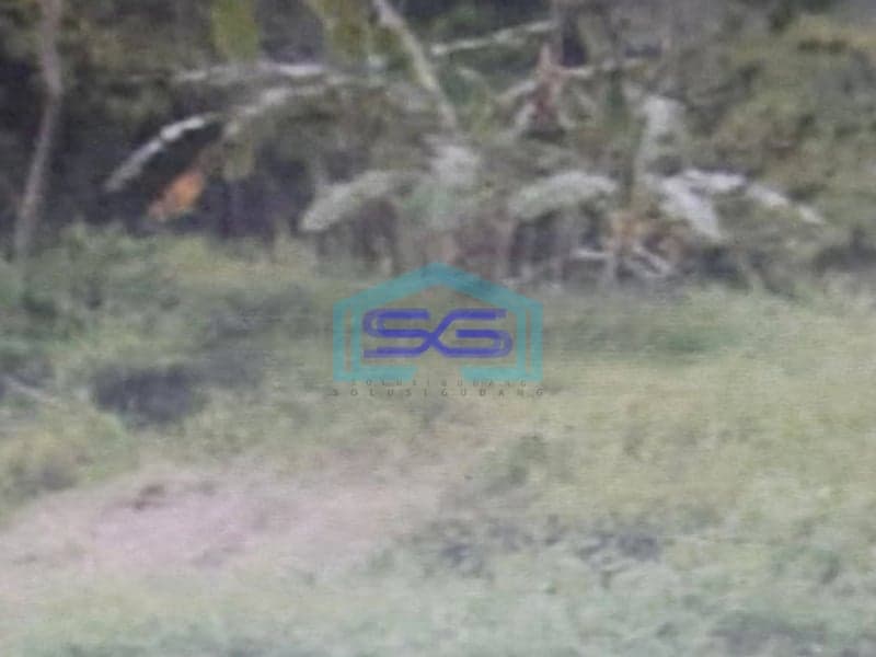 Dijual Tanah Dalam Kawasan Industri Tambakaji Semarang LT 37500m2