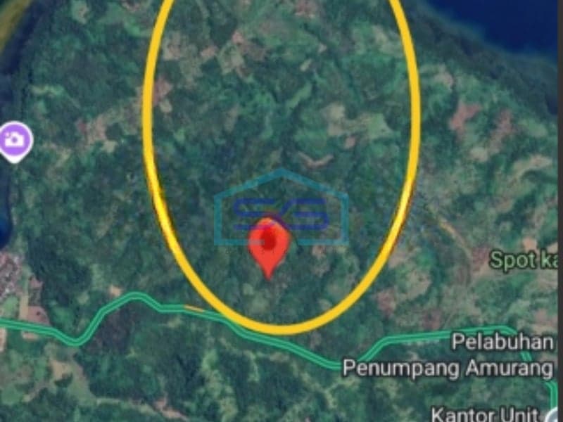 Dijual Tanah di Jalan Trans Sulawesi Amurang, Minahasa Selatan LT 70 Ha
