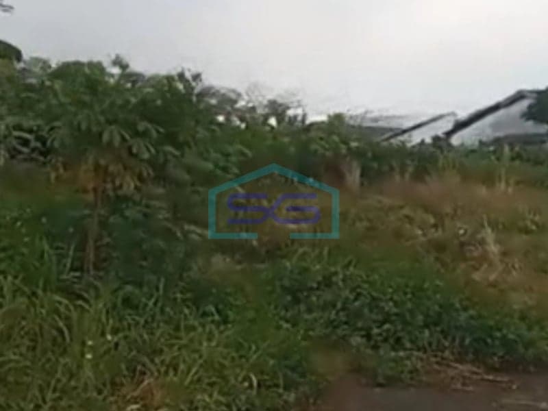 扎蒂乌容丹格朗战略性无洪水土地出售