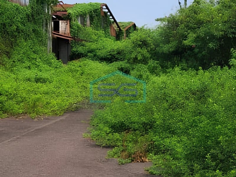 坦格朗-坦格朗市前工厂土地出售，占地81000平方米