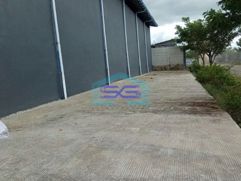 Dijual Gudang Siap Pakai Pattene Makassar Luas Bangunan 700m2