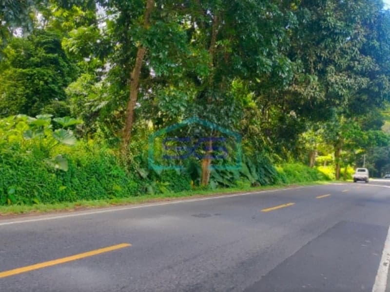 Dijual Tanah Dekat SDN dan SMA Wori 1 di Wori, Minahasa Utara LT 7800000 m²