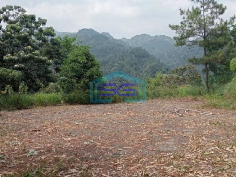 Dijual Tanah KP Wangun Depok Desa Karang Tengah Babakan Madang Bogor LT 10000m2