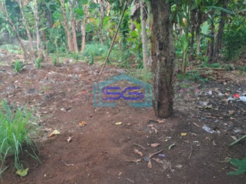 Dijual Tanah Lokasi di Kemang Bogor SHM Bebas Banjir