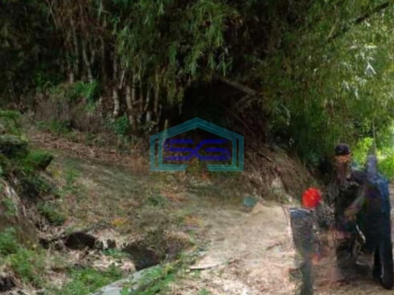 Disewakan Tanah Luas 30000 m² Lokasi Klaten Jawa Tengah