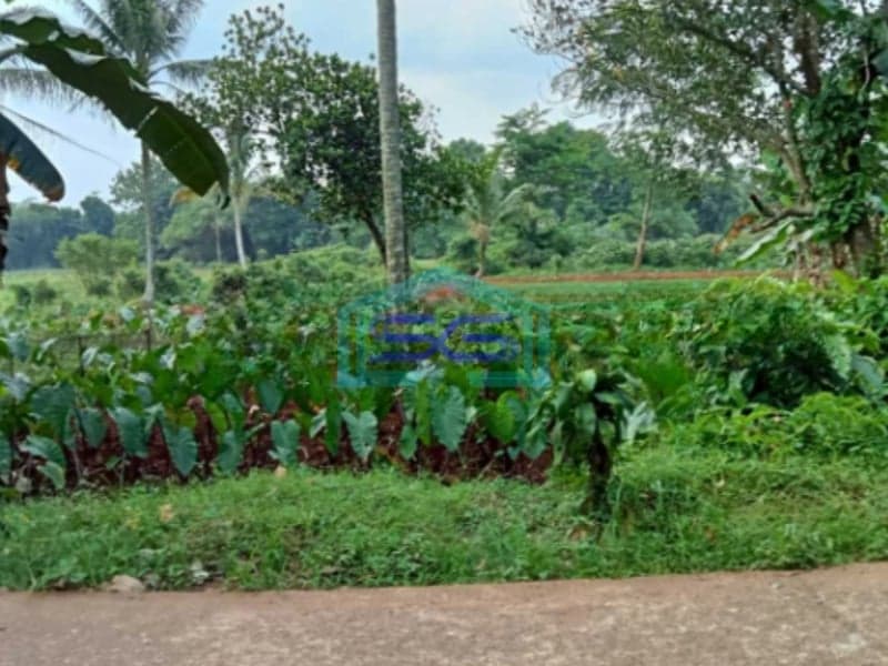 Dijual Tanah Di Kemang Bogor Luas Tanah 1250m2