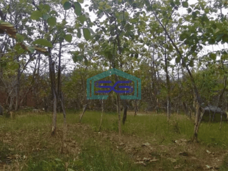 Dijual Tanah Luas  4738 m² Lokasi Tuban Jawa Timur