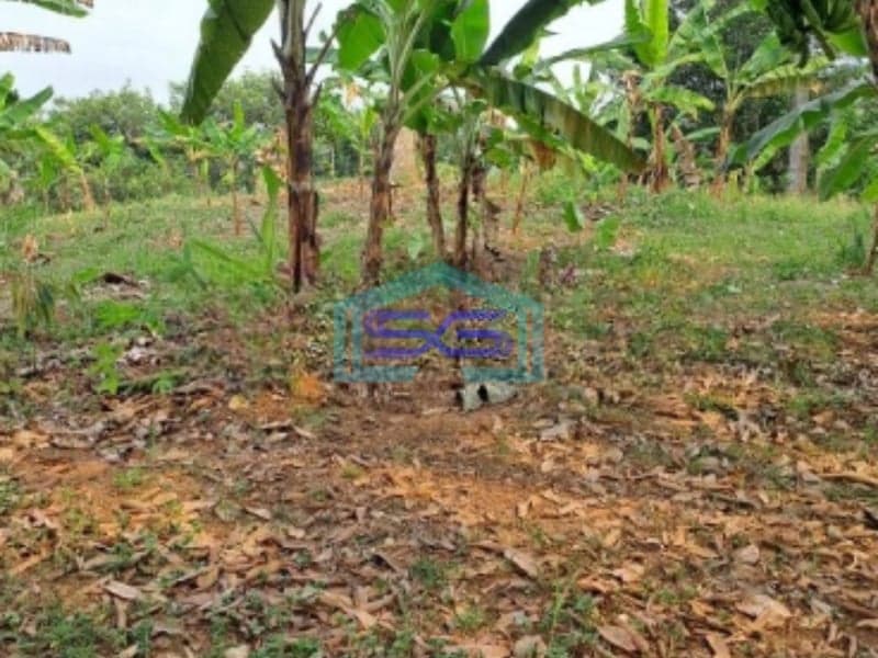 Dijual Tanah Sangat Bagus Luas 11000m2 Desa Rabak Rumpin Bogor