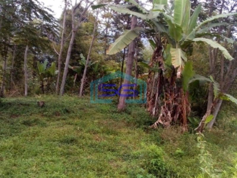 Dijual Tanah DI Cibodas Ciwidey Bandung Luas Tanah  20000 m2