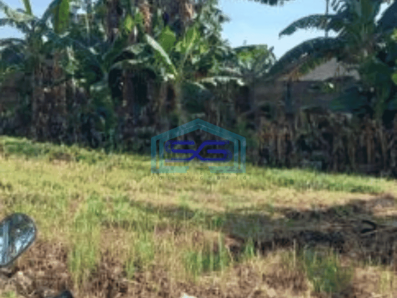 Dijual Tanah Lokasi Bebas Banjir Luas 8800 m² di Gunung Sindur Bogor