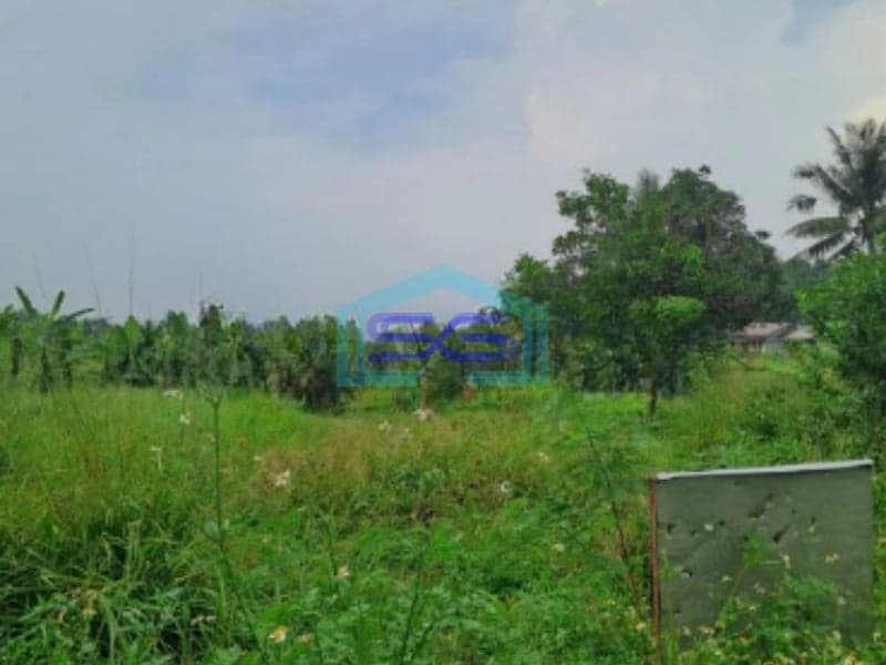 Dijual Tanah di Pinggir Jalan Raya Desa Rabak Rumpin Bogor Luas 44000m2