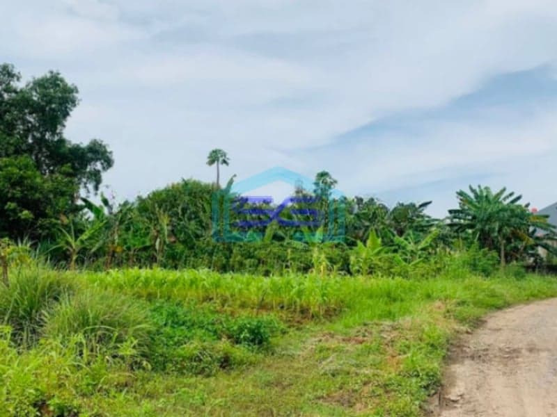 Dijual Tanah Kavling LT 45500m2 Cocok Pergudangan Dekat Airport Soetta Periuk Tangerang