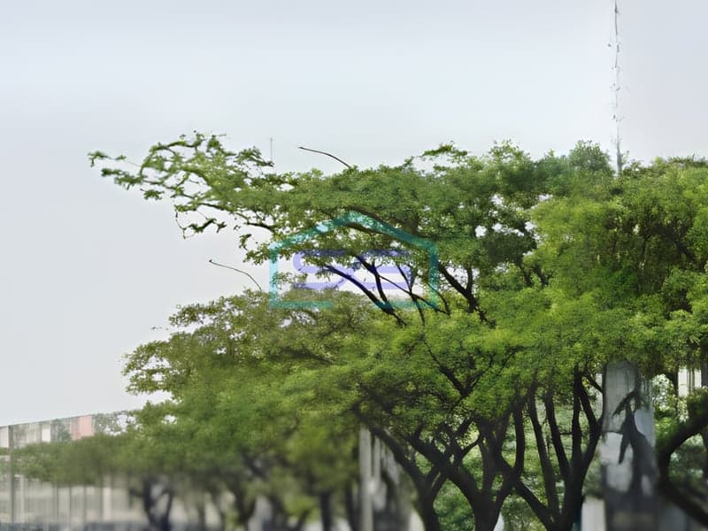 出售位于坦格朗万丹地区土地，面积3855平方米