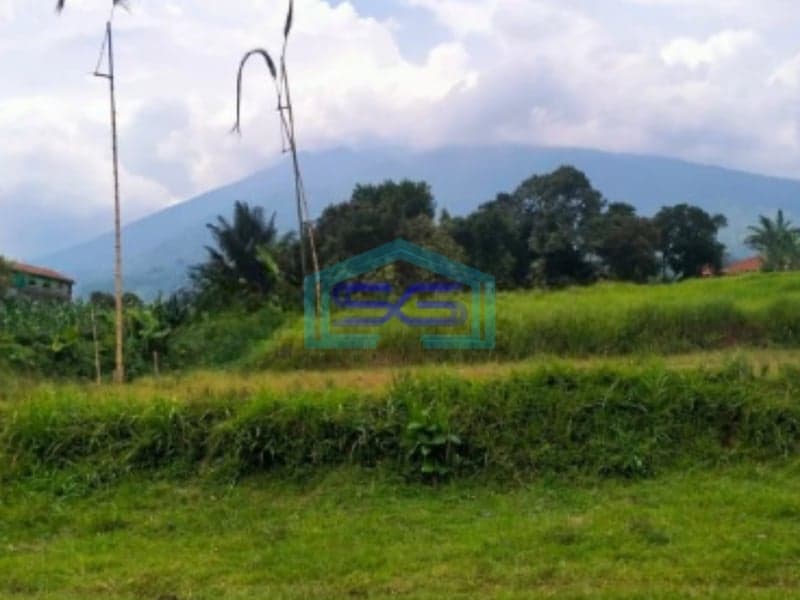 Dijual Tanah Bagus di Jalan Raya Cihdeng Kec Cijeruk Bogor LT 12000m2