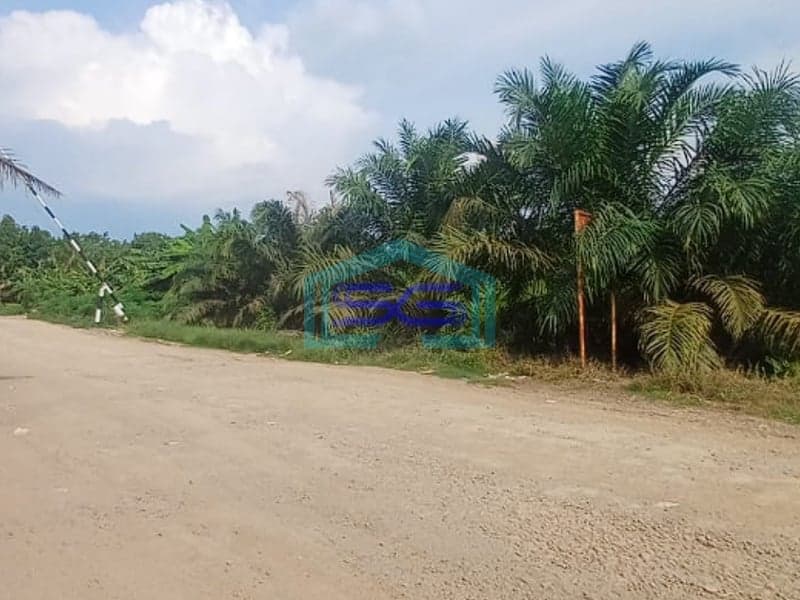 Dijual Tanah di Dekat Jembatan Gasing, Tanjung Api-Api Banyuasin Sumatera Selatan Strategis LT 68000m2