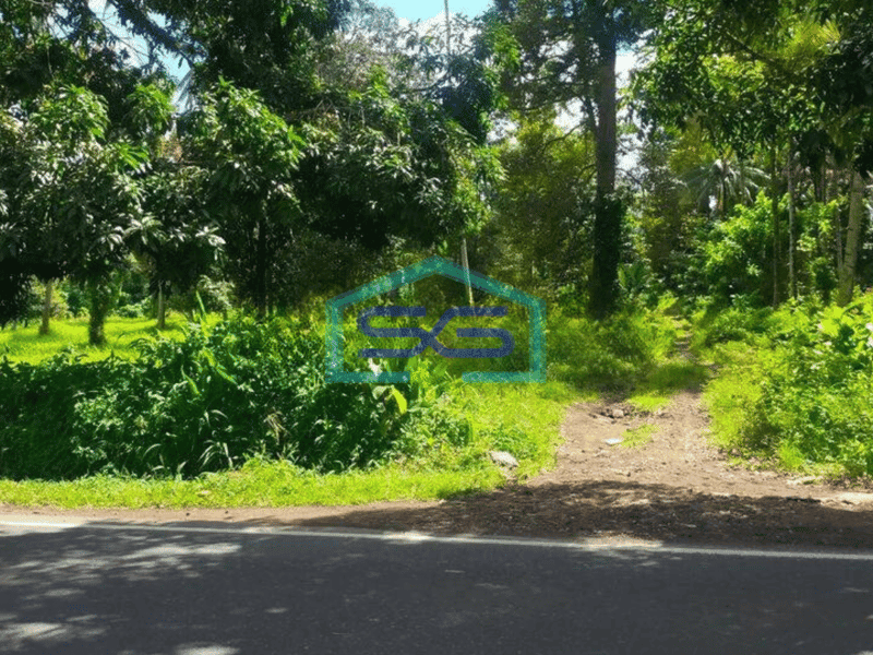 Dijual Tanah 1,2h di jl raya Manado Bitung cocok buat gudang